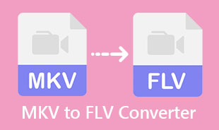 Best MKV To FLV Converter