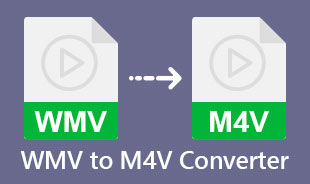 Best WMV To M4V Converter
