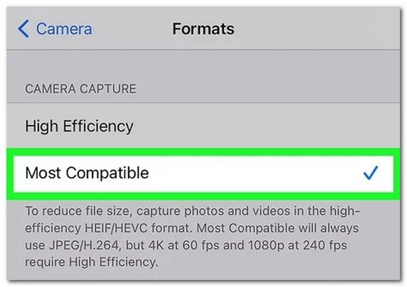 IrfanView for Mac Alternatives Apple Preview