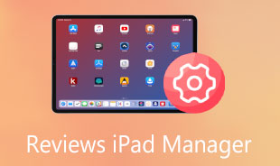 Reviews iPad Manager